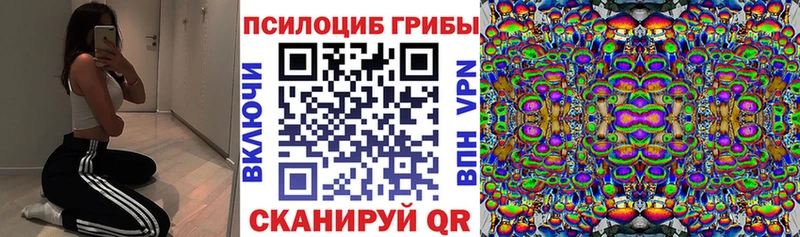 Галлюциногенные грибы мицелий  Кудрово 