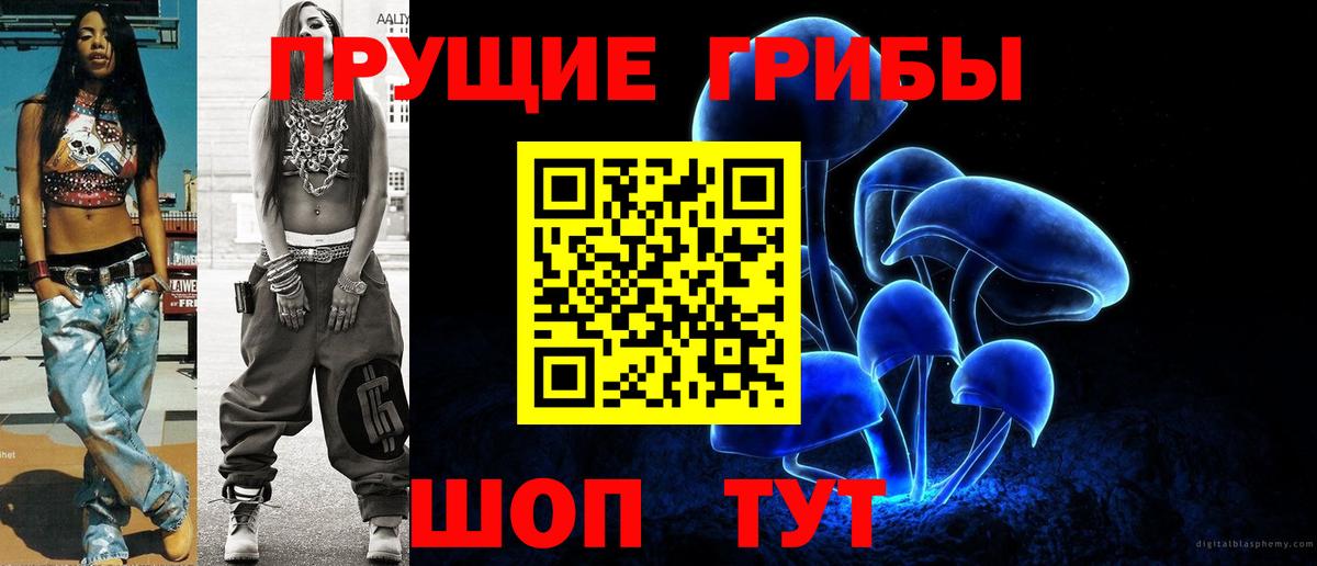 Псилоцибиновые грибы прущие грибы  Галлюциногенные грибы Cubensis  Кудрово  Вход с VPN 
