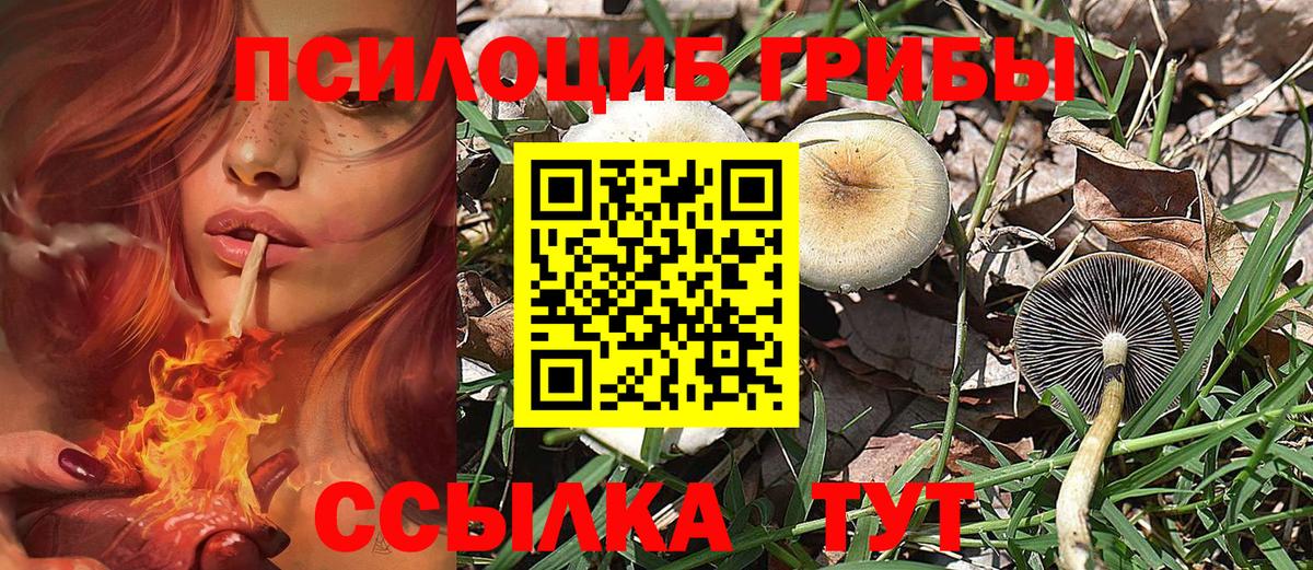 Галлюциногенные грибы Magic Shrooms Кудрово