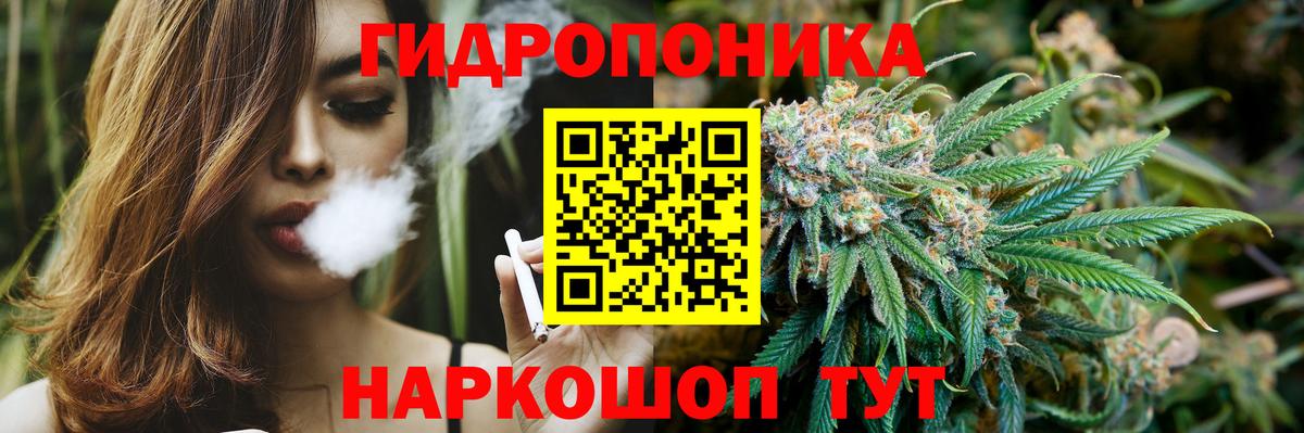 Конопля THC 21% Кудрово